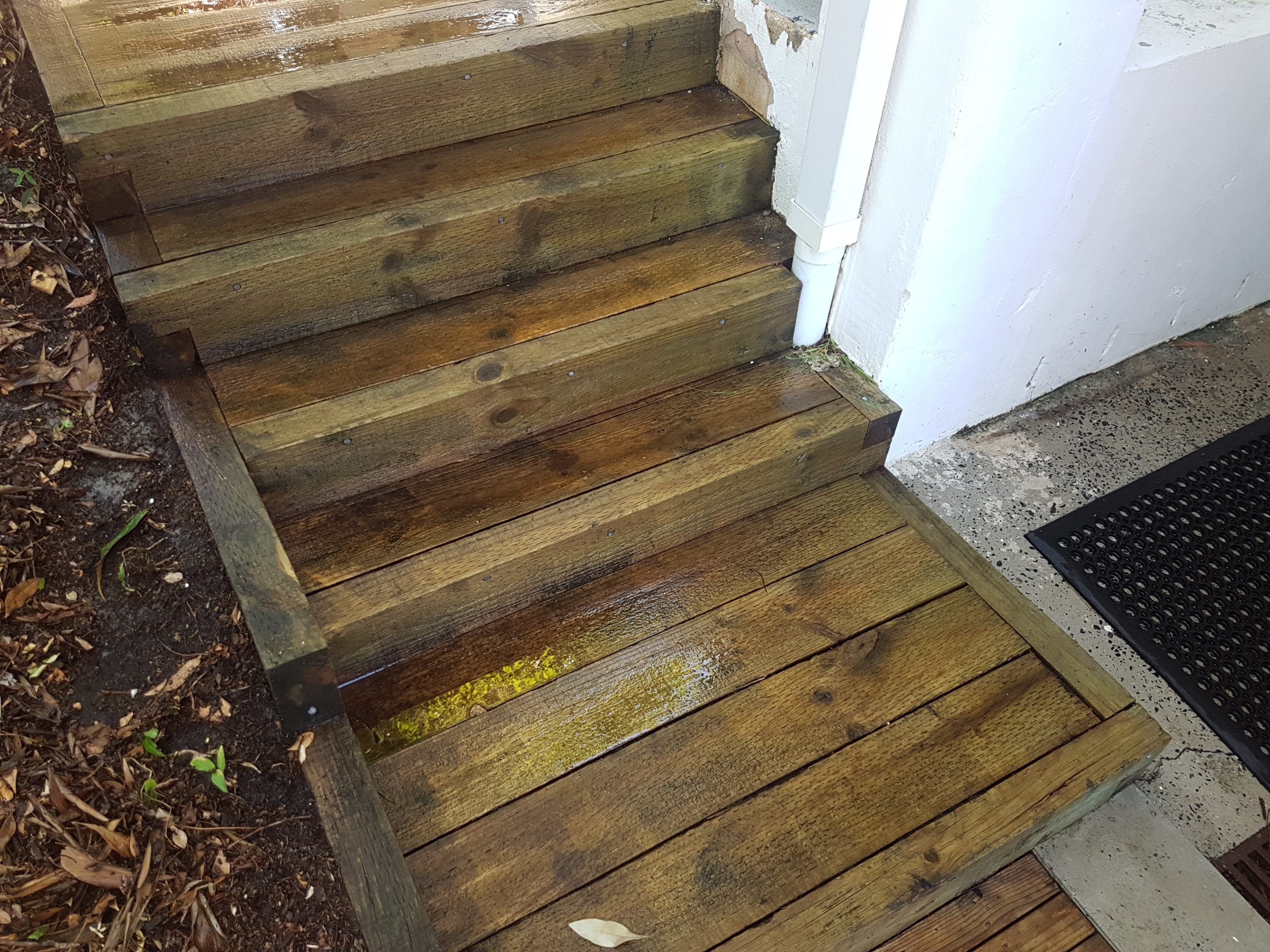 Mould Removal Central Coast