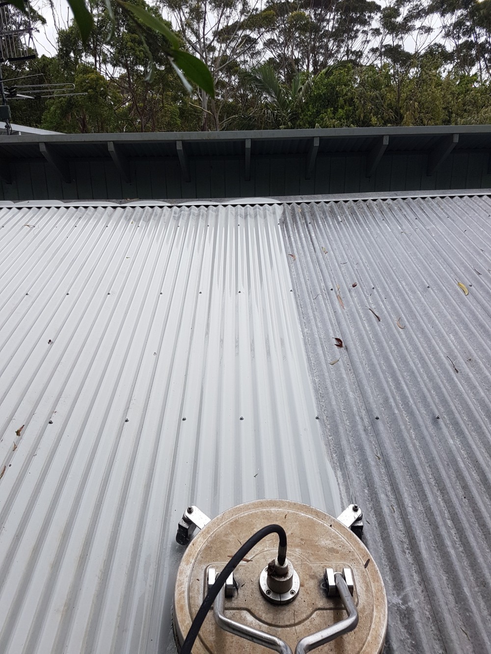 Mould Removal Pressure Coast